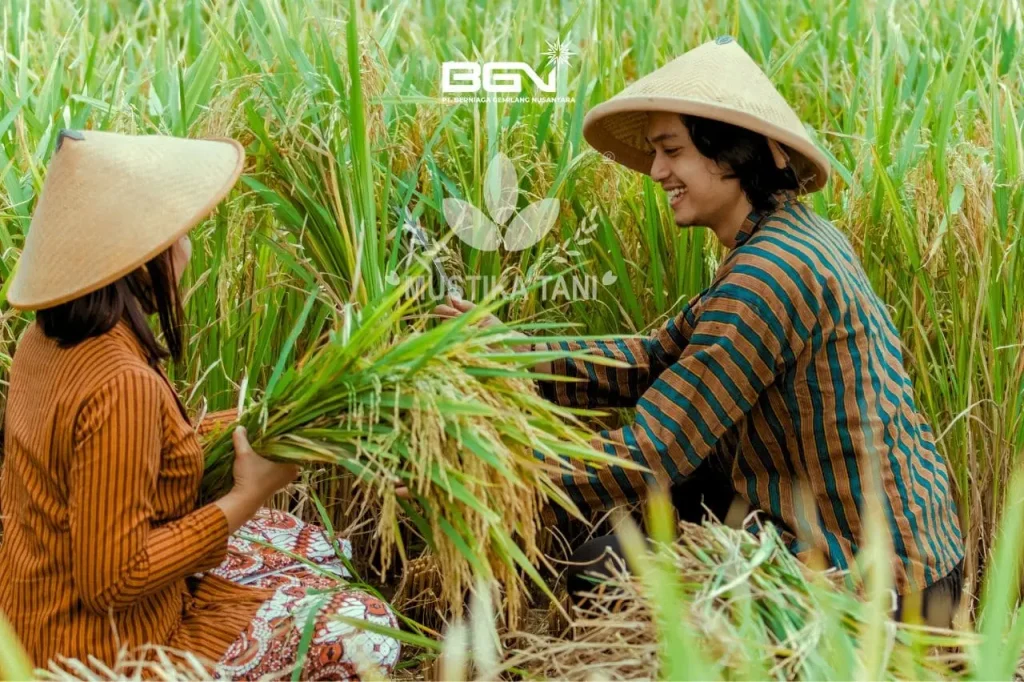 pertanian pupuk organik mustika tani PT. Berniaga Gemilang Nusantara